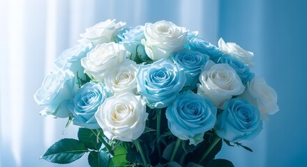 Valentine's day bouquet of blue and white roses for romantic love
