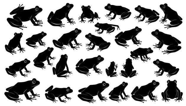 Black silhouettes of frogs in various poses on a white background, suggesting a collection or pattern