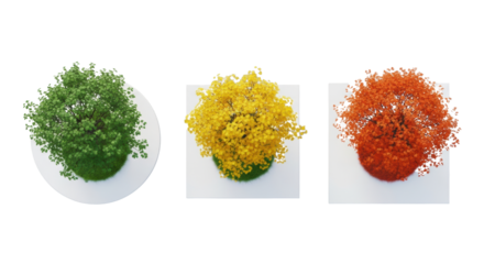 Three detailed deciduous trees (green, yellow, orange-red) isolated on white platforms, top-down view on a smooth gray background with copy space. Concept of nature's seasonal cycle