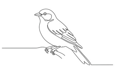 Obraz premium Bird on branches continuous one line drawing.