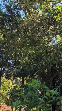 Naturaleza en su m&aacute;xima expresi&oacute;n 