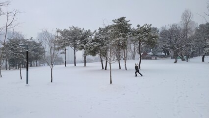 눈 내리는 도심 공원에서 신나게 걷는 남자아이