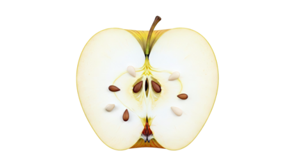 Cross-section of a Yellow Apple Showing Seeds and Core