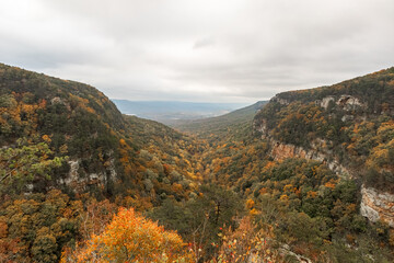 Cloudland canyon valley showing beautiful autumn foliage