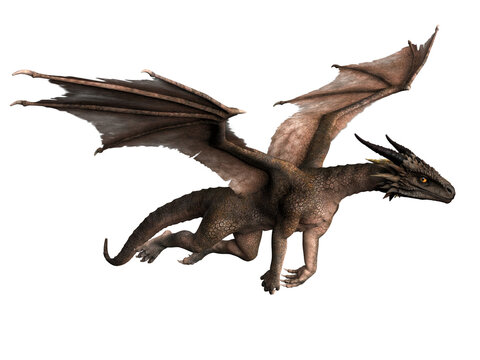 3d render, fantasy dragon, mythological creature