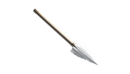 Spear with Metal Tip and Shaft.