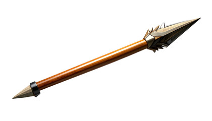 Medieval Spear with Metal Tip and Fletching.