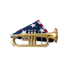 Fototapeta premium Cornet with American Flag