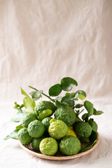 Kaffir lime fruit with leaf in basket on white fabric background, Thai food ingredient