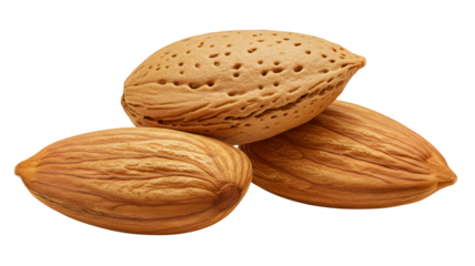 Group of Three Organic Almonds with Shell and Raw Kernels for Health Food and Nutrition Layouts transparent background