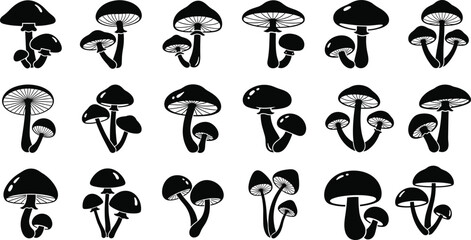 Mushroom silhouettes, botanical fungi, gill patterns, cap shapes, vector illustration, black design, minimal layout, nature icons, spore structures © Mst Farida