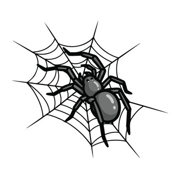 A cartoon spider on a web