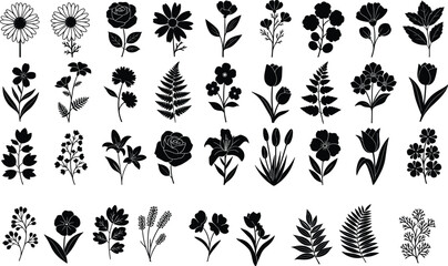 Silhouettes of flowers, botanical plants, floral shapes, leafy patterns, vector illustration, black design, minimal layout, nature elements, garden icons