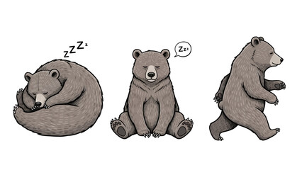 Three cartoon bears in different poses sleeping sitting and walking. © Sukandi