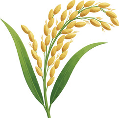 Golden Rice Plant Minimalist Illustration