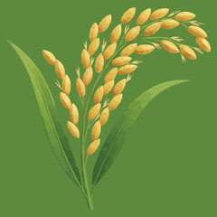 Golden Rice Plant Minimalist Illustration