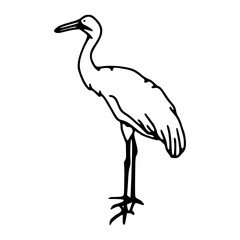 Fototapeta premium simple outline drawing of a long-necked water bird for coloring