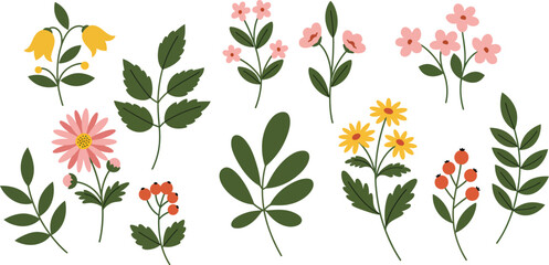 Colorful assorted flowers and leaves on white background for decoration and design