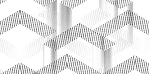 Abstract slash thin diagonal fabric parallel stripe black and white transparent line background. stripe diagonal line geometric white pattern technology textile background.