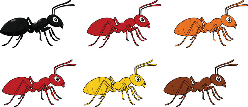 Cartoon illustration of six colorful ants with exaggerated features, arranged in rows, showcasing diversity in insect character design