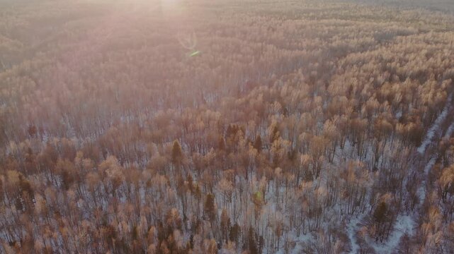 Sun sets behind forest filled with trees ground has patches of snow sky has clouds shows warm daylight fades.