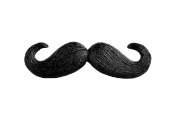 Textured black mustache shape isolated on transparent background. Curled black mustache isolated on white background.