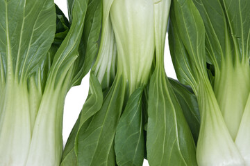Fresh bok choy stalks and leaves arranged closely together on a white background