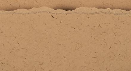 Close up of a sandy surface with a rough texture