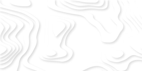 white topography map geography relief diagram texture design. Topography white background and black line world map texture design. Lines Topographic contour lines grid map seamless pattern.