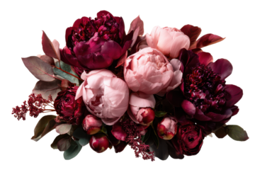 Dark burgundy and pink peony flower arrangement isolated on transparent background. Rich peony and rose floral arrangement dark tones isolated on white background.