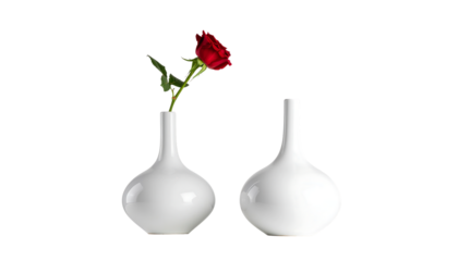 Minimal White Vase with Single Rose Flower Isolated on Black Background