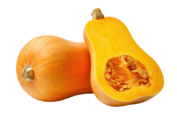 Two butternut squash one whole and one cut in half isolated on transparent background. Butternut squash cut in half showing seeds and flesh isolated on white background.