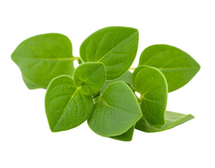 Culinary Marjoram Herb Leaf in PNG Format Isolated on Transparent Background for Cooking