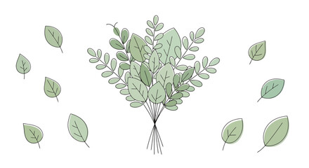 Delicate Herbal Arrangement Awaiting Design Aromatic Green Leaves for Natural Botanical Compositions Isolated White Background