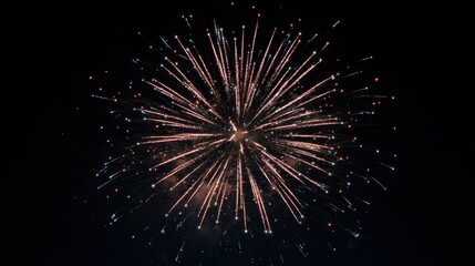Fototapeta premium Firework bursts into the night sky in a display of light and colors during a celebration