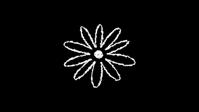 Hand drawn chalk flower doodle animation