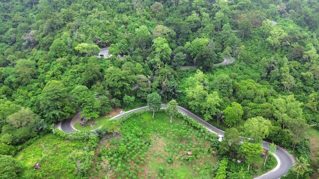 Aerial video shows many cars on a winding and uphill road in a green mountain full of trees.