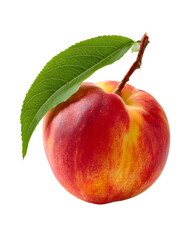 Ripe Nectarine Fruit with Green Leaf isolated on transparent background
