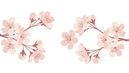 Delicate Cherry Blossoms Branching Out, Spring Flora