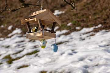 Blue tit (Cyanistes caeruleus) feeding at a wooden bird feeder hanging on a tree branch. Garden scene with melting snow, showing bird feeding as wildlife support in late winter and early spring.