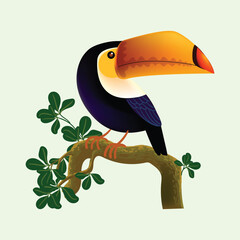 Toucan bird standing on a branch of tree vector illustration. Exotic birds for childrens design of prints, posters, cards.