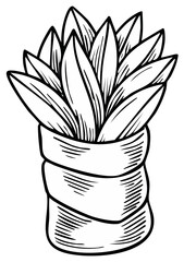 Illustration of a potted succulent plant in a linear style for design projects