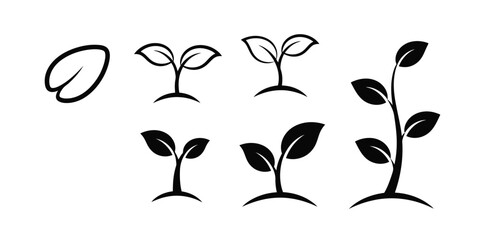 Minimal Plant Growth Silhouette Vector Icon Set with Life Cycle Poses