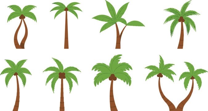 Tropical palm tree vector illustration set with different shapes, heights, and leafy green coconut palm designs