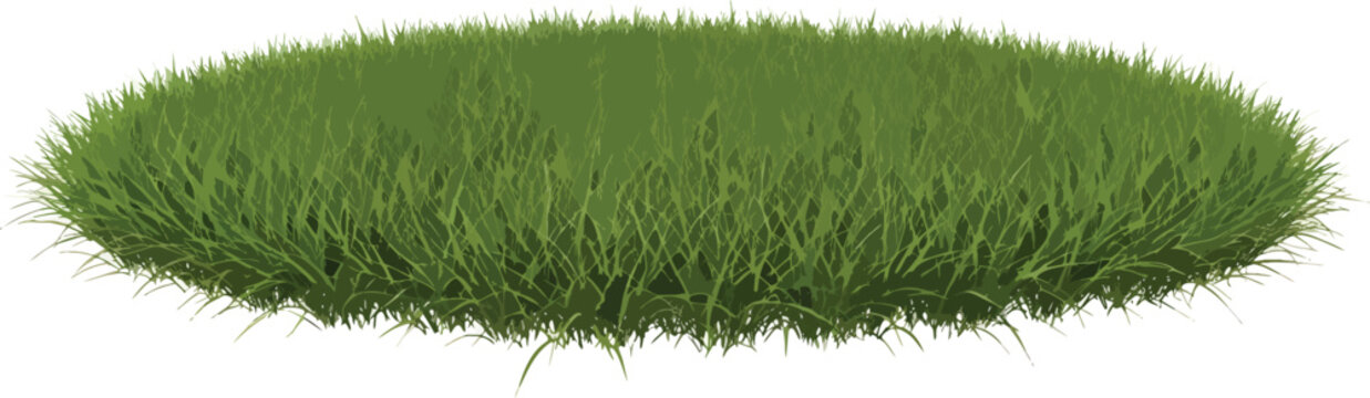A patch of lush green grass on a plain white background for your designs