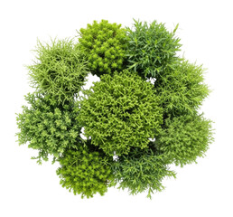 Obraz premium Green foliage wreath isolated transparent bg, cutout png