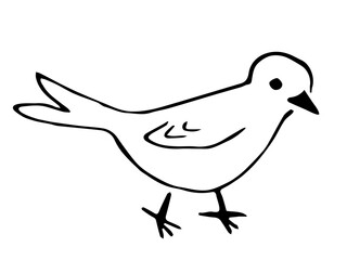 Simple hand-drawn vector drawing with a black outline. Little bird, sketch in ink. Nature and animals.