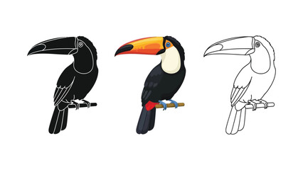 Obraz premium Set of three toucan illustrations in black silhouette, full color, and outline styles