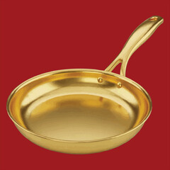 Pure Gold Frying Pan EPS
