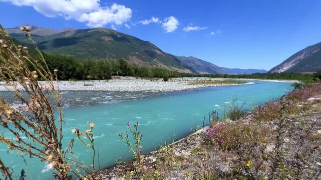 The mountain river Teberda with spruce forest in summer and clouds in Teberda, Russia. View of the river near the confluence of the Amanauz and Gonachkhir rivers near the Caucasus Range. Dombay. 4К